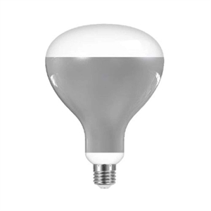 Flos LED-Glühbirne 13W E27 220-240V 2700K R125