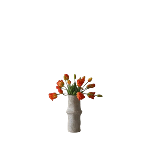 Botané Tulpen-Mix-Bouquet Orange