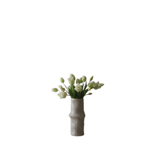 Botané Tulpen-Mixed Bouquet Weiß