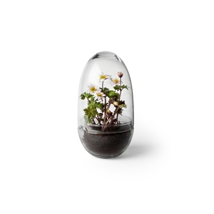 Design House Stockholm Grow Vase, Mittelgroß, Klar