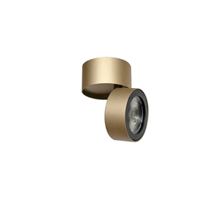 Loom Design Ray Spot 15W Gold