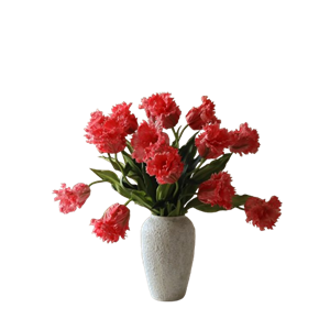 Botané Papageien-Tulpenstrauß Rot
